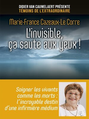 cover image of L'invisible, ça saute aux yeux !